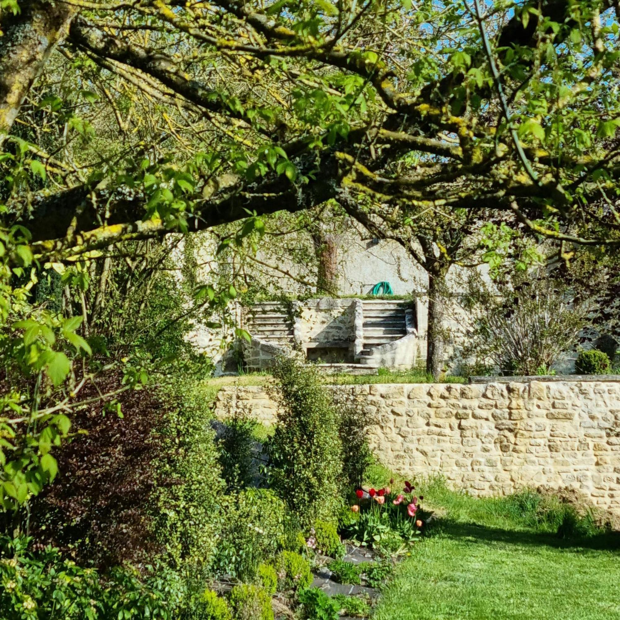 L'Orangerie Du Grand Jardin Villa Condé-sur-Seulles Buitenkant foto