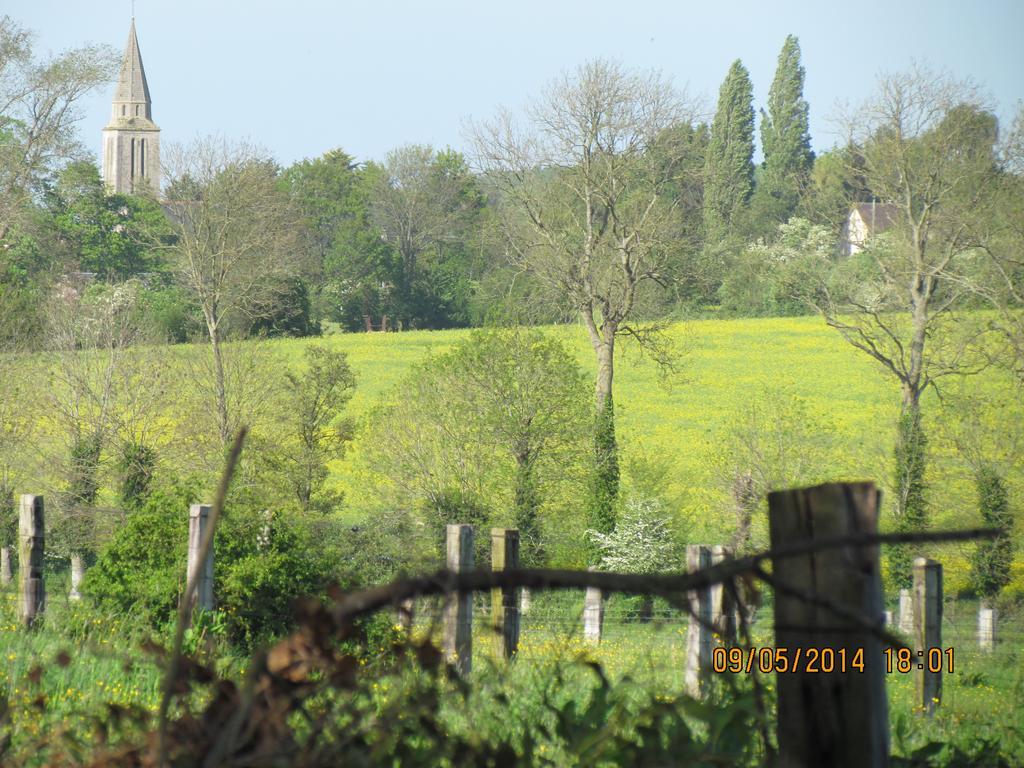L'Orangerie Du Grand Jardin Villa Condé-sur-Seulles Buitenkant foto
