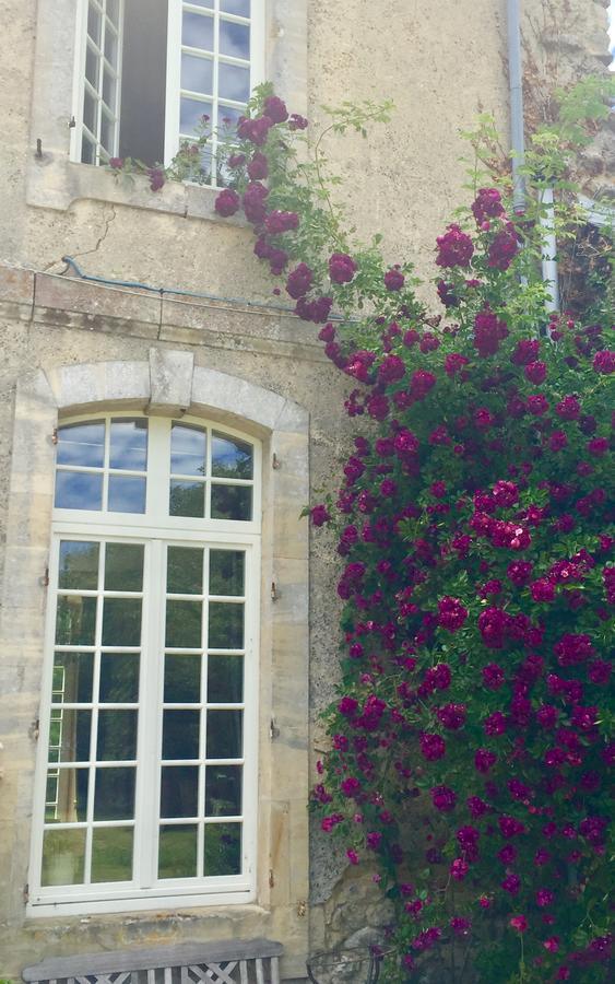 L'Orangerie Du Grand Jardin Villa Condé-sur-Seulles Buitenkant foto